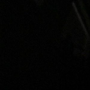 Meet your Posher, Riley